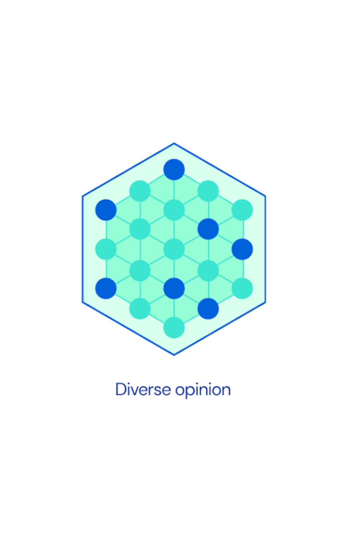 Diverse opinion - hexagonal graphic